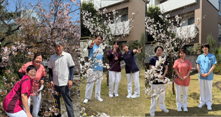 № 286　 同期の桜　(classmate)